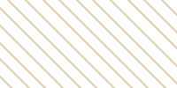 斜條紋-金色.png 斜條紋-金色.png